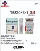 TESZONE-1